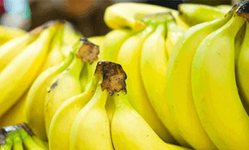 Fresh bananas on a banana hanger: Everything you ever wanted to know about Banana Hangers AKA Banana Holders!