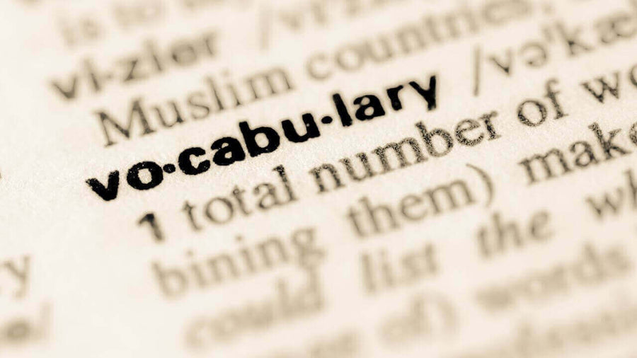 Dictionary page highlighting 'vocabulary' for learning 100 Interior Design Words to use to Sound Like a Pro!