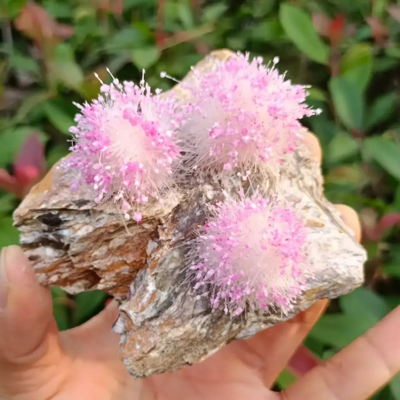Natural Magnesite & Pink Needle Cluster - Reiki Decor