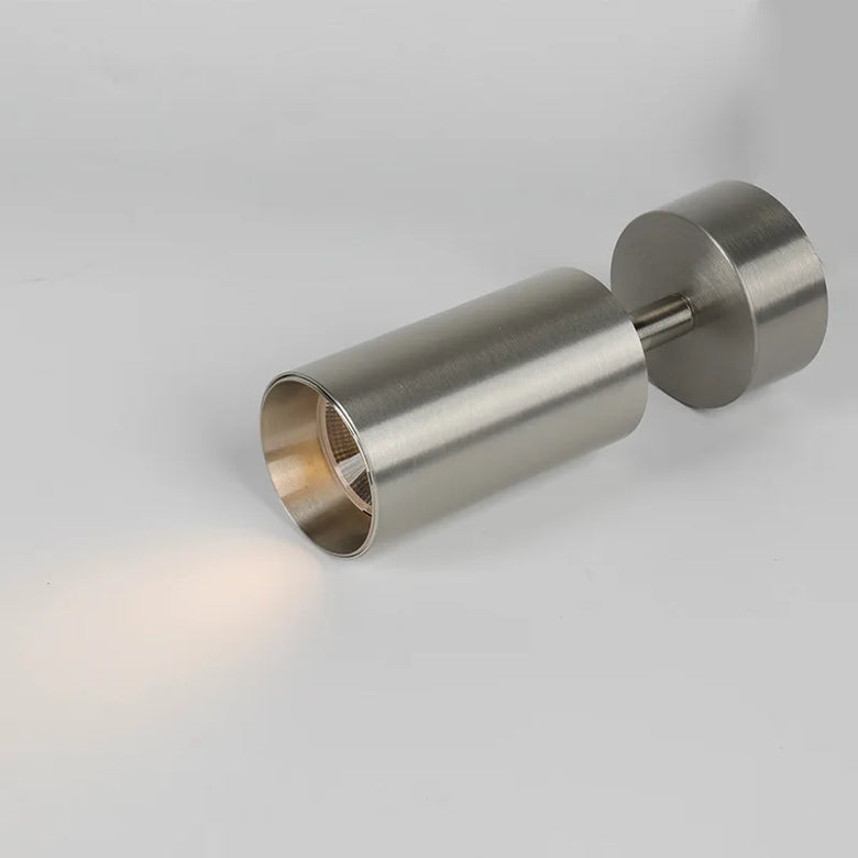 Adjustable Stainless Steel LED Spotlight 100mm Ceiling