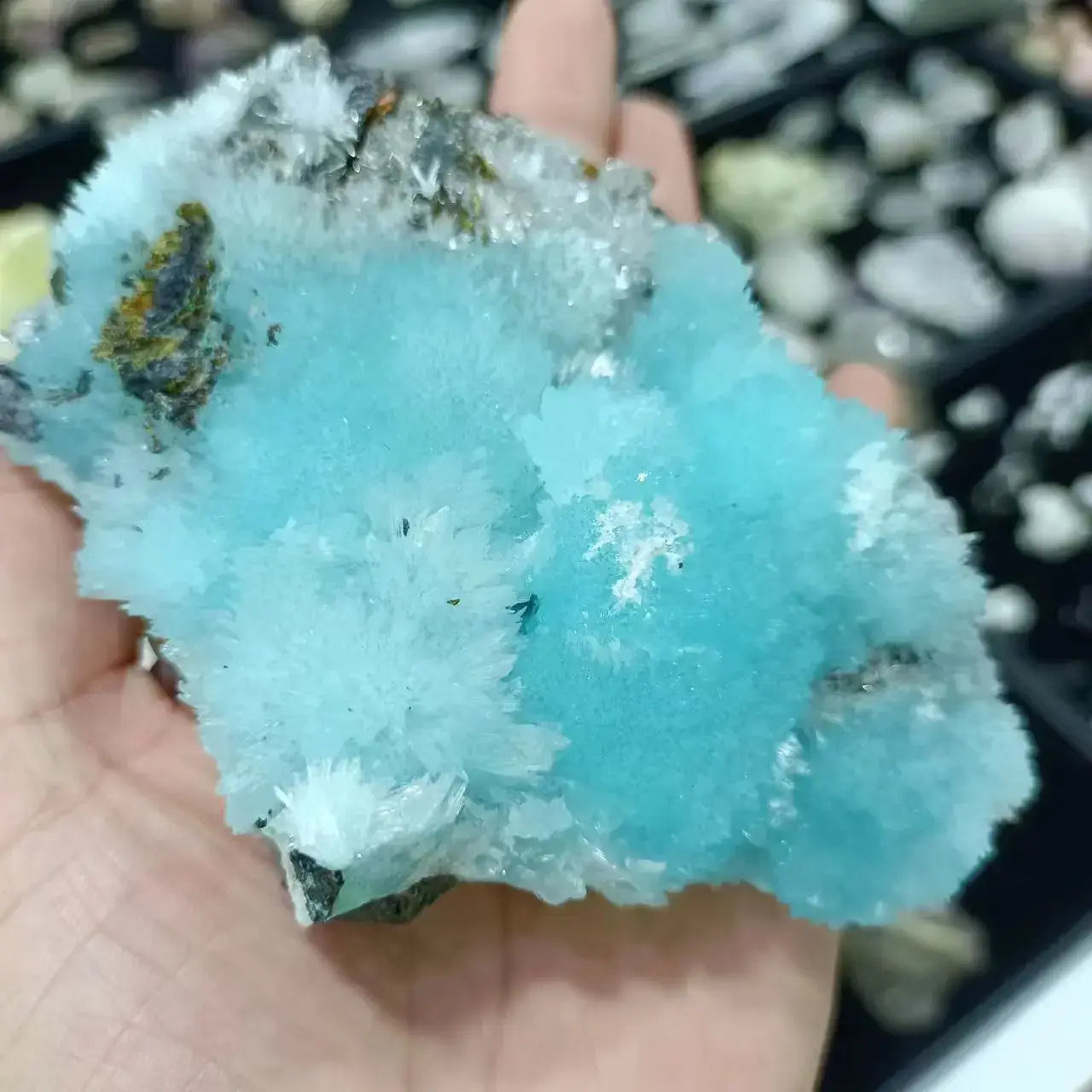 Sky Blue Aragonite Crystal Clusters