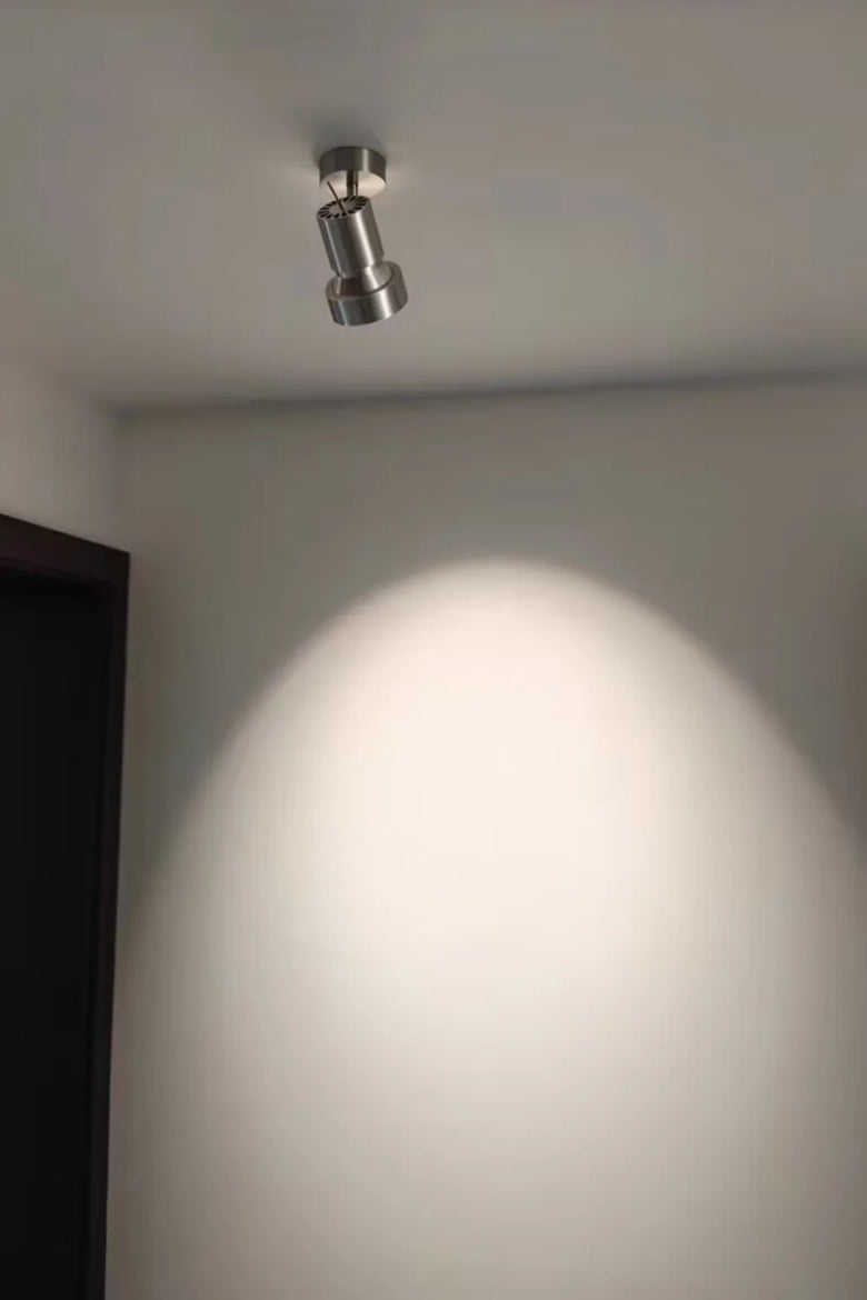Adjustable, Rotatable Brushed Nickel Spotlight