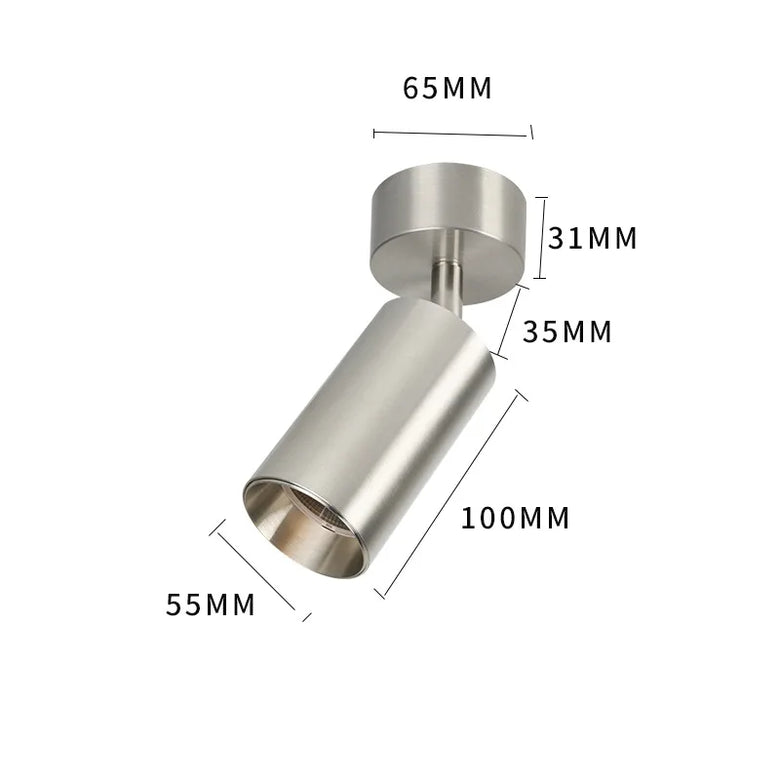 Adjustable Stainless Steel LED Spotlight 100mm Ceiling
