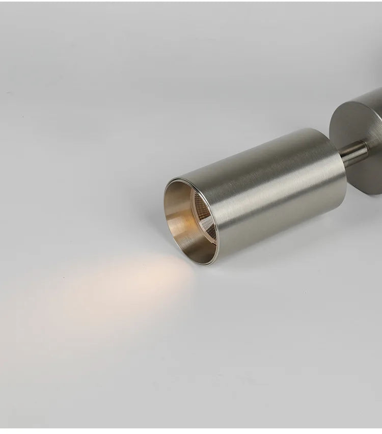 Adjustable Stainless Steel LED Spotlight 100mm Ceiling
