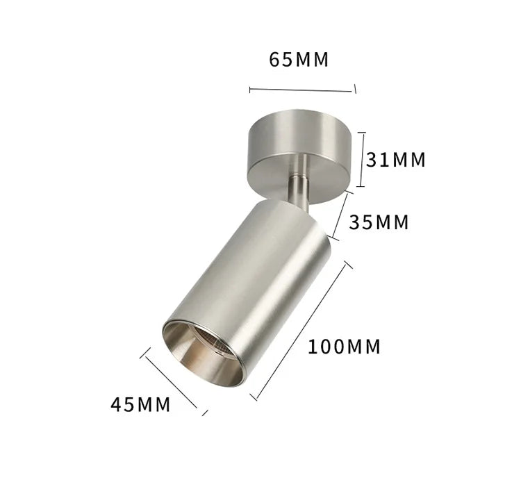 Adjustable Stainless Steel LED Spotlight 100mm Ceiling