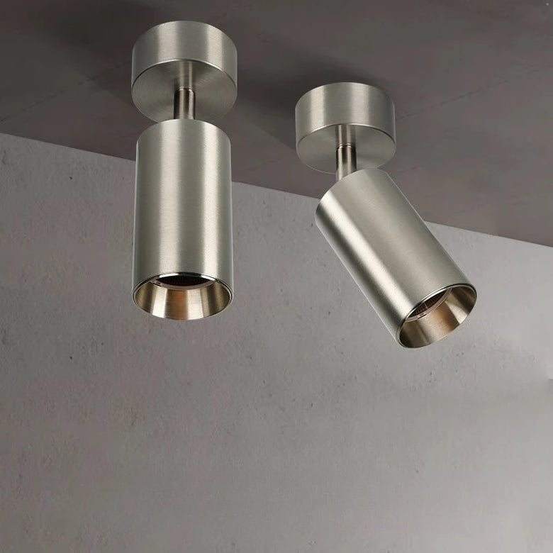Adjustable Stainless Steel LED Spotlight 100mm Ceiling
