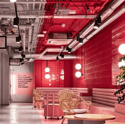 Celebrating Masquespacio's Vivid World: A Personal Love Letter to Contemporary Design