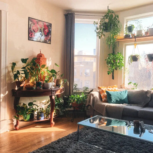 How Can Nature Influence Our Living Spaces