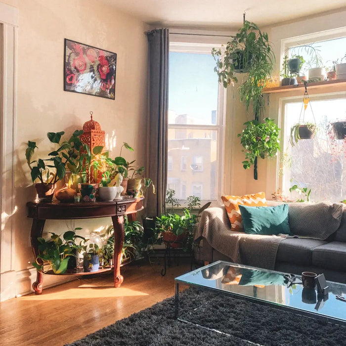 How Can Nature Influence Our Living Spaces
