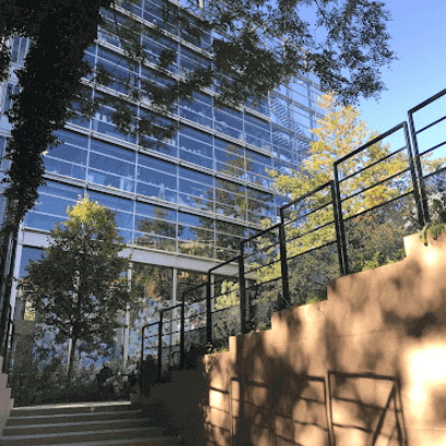 Final Days to Experience "Breath of an Architect" at Fondation Cartier