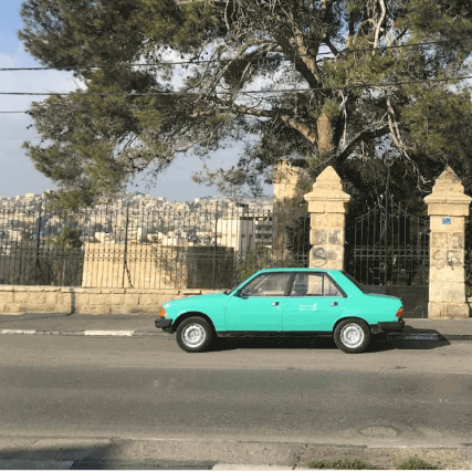 Exploring Conflict and Resilience: "Landworks, Collective Action and Sound" at Magazzino Gallery