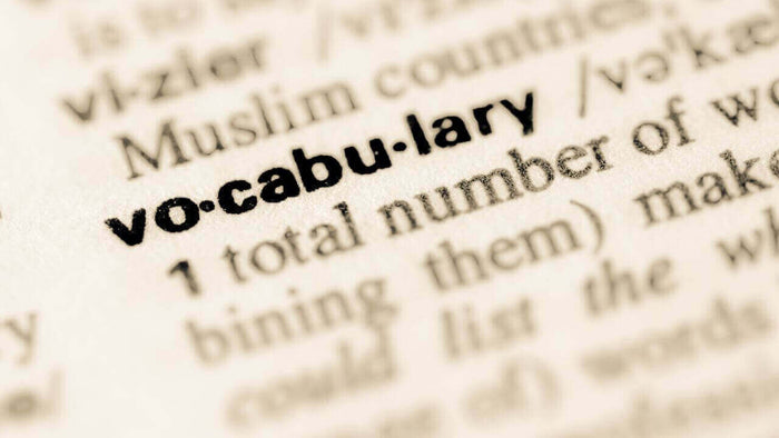 Dictionary page highlighting 'vocabulary' for learning 100 Interior Design Words to use to Sound Like a Pro!
