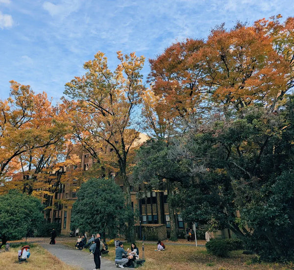 What Seasonal Activities Can Inspire Creativity and Joy