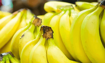 Banana Hanger: Everything you ever wanted to know about Banana Hangers AKA Banana Holders!