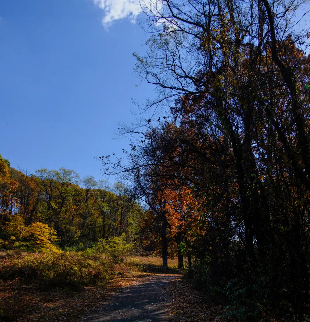 How does seasonal change influence our lifestyle choices