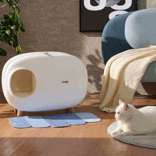 Discover the Perfect Cat Litter Box: Combining Functionality and Style