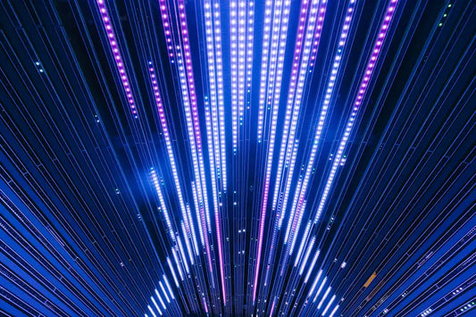 Understanding Light Sources LED vs. Traditional Lighting