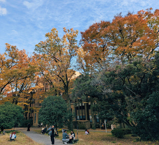 What Seasonal Activities Can Inspire Creativity and Joy