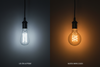 The Pros and Cons of LED vs Halogen Lighting