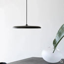 Minimalist Metal Hanging Lamp in black with a sleek design, featuring a contemporary style and elegant accents.