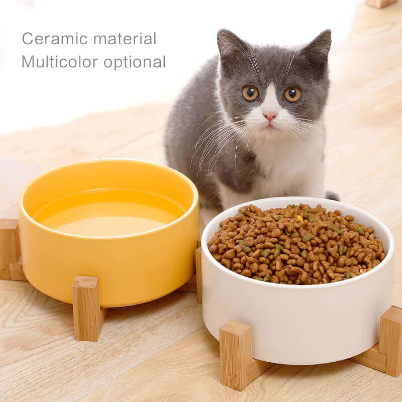 Stylish and Functional Cat Ceramic Food And Water Bowls