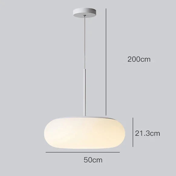 Scandinavian Acrylic LED Pendant Light 3000K