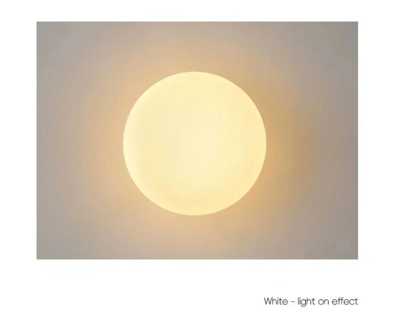 Frosted Glass Globe Wall Light - Modern LED Sconce