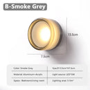 Futuristic and Unique Solid Plexiglass Wall Light in smoke grey design, ideal for bedroom or living room space.