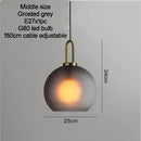 Grey Frosted Sphere Glass Hanging Lamp with adjustable cable and warm LED light.