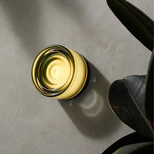 Futuristic and Unique Solid Plexiglass Wall Light casting warm glow on a textured surface, surrounded by leafy plants
