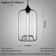 Bagliore Tulipano