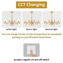 CCT Changing for Modern Gold LED Chandelier – 20-Head G4 Luxury Ceiling Light with white, warm, and neutral light options.