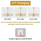 CCT Changing options for Modern Gold LED Chandelier – 20-Head G4 Luxury Ceiling Light for Living Room & Hotel Lobby.