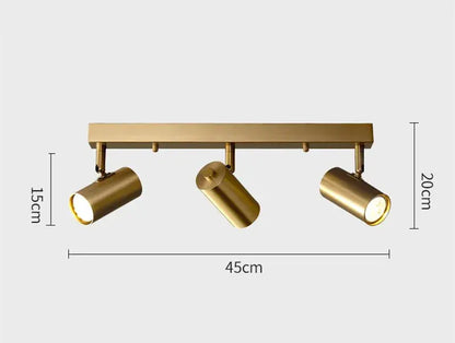 Gold Nordic LED Spotlight Ceiling Light – Modern Elegance