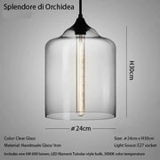 Splendore Orchidea