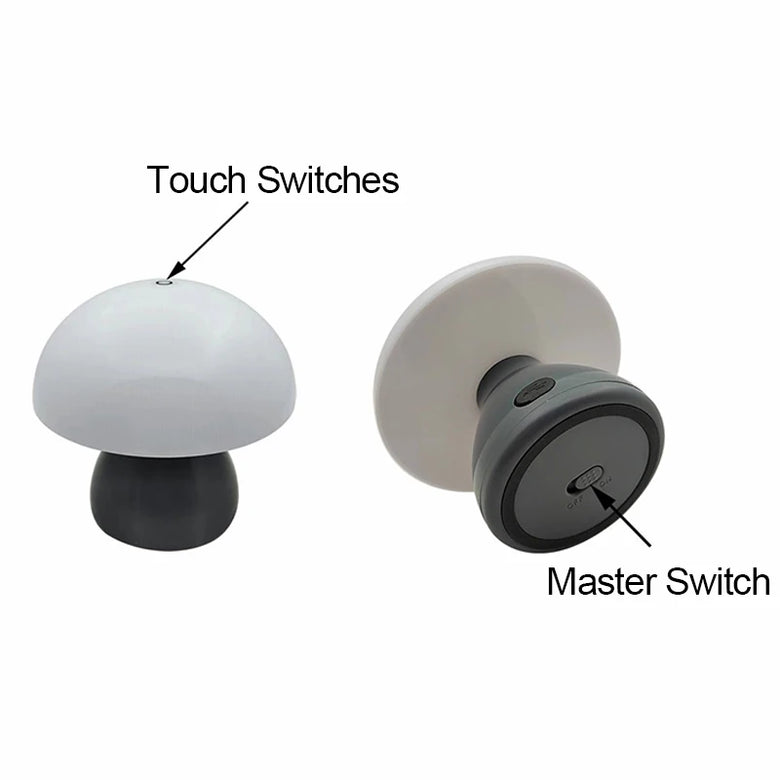 Two light switches with labeled touch switches and master switch on a white background