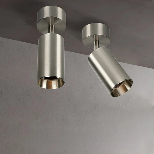 Adjustable Stainless Steel LED Spotlight 100mm Ceiling
