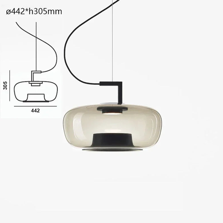 Modern Glass Pendant Light with Iron Detailing