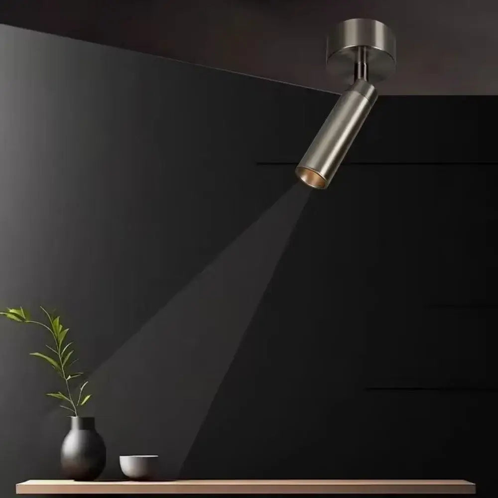 Hero A modern cylindrical track Adjustable Spotlight in brushed metal mounted on a dark ceiling, casting a focused beam of light onto a shelf below with a small vase and plant.