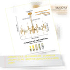 Modern Gold LED Chandelier – 20-Head G4 Luxury Ceiling Light for Living Room & Hotel Lobby specifications and dimensions.