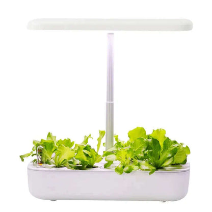 Plant & Herb Growing Kits, Plant & Herb Growing Kits, Plant & Herb Growing Kits, Grow Fresh Herbs Indoors - Hydroponics Herb Garden Kit