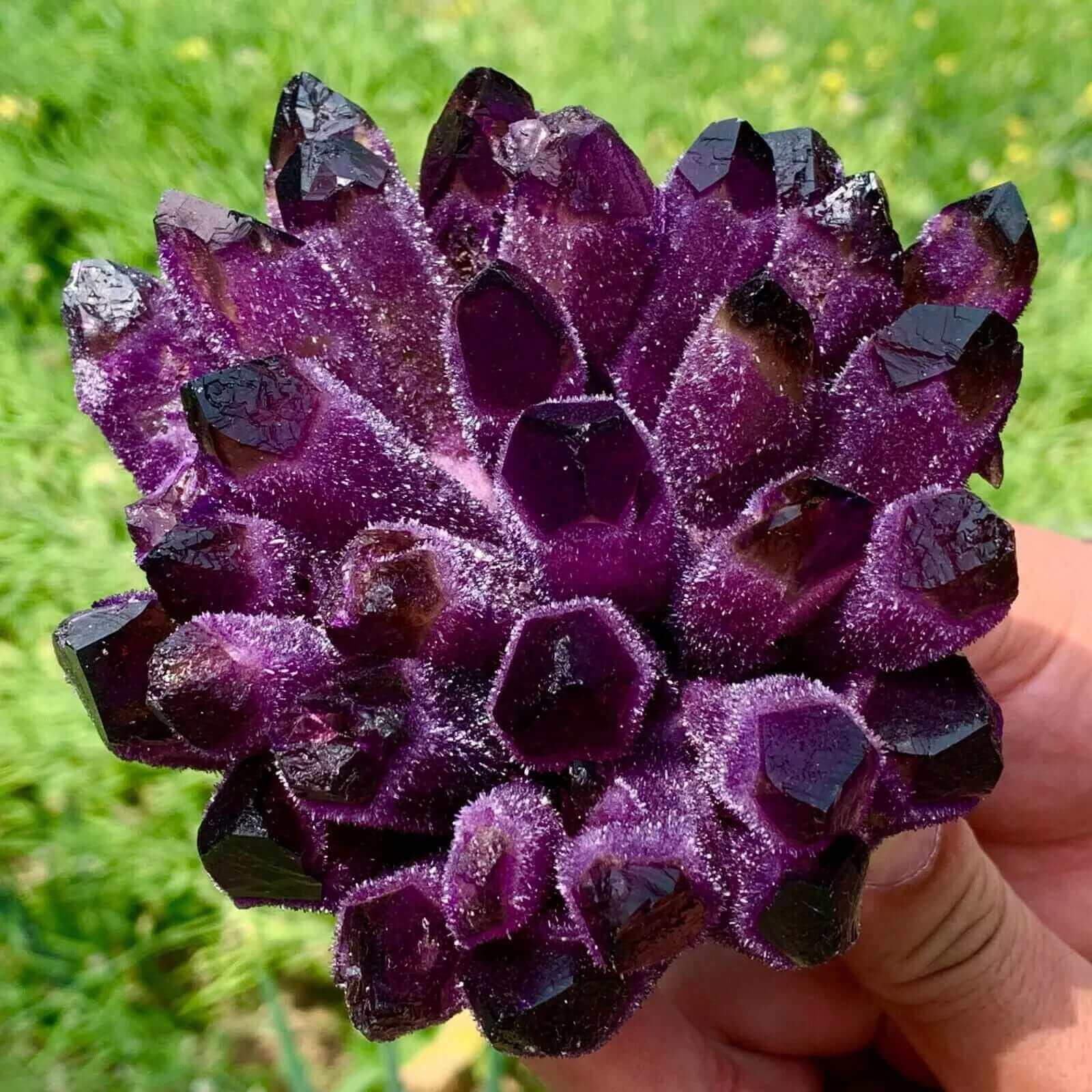 Rare New Find! Phantom top Quartz Crystal Cluster